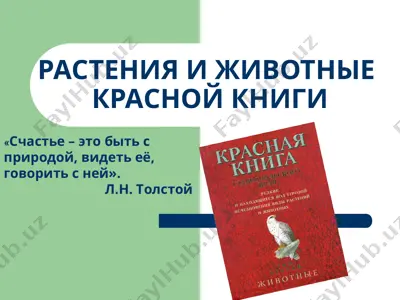растения и животные красной книги — PPT