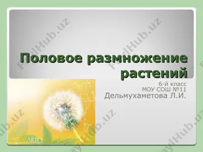 polovoe razmnozhenie rasteniy — PPT