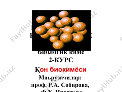 биоорганик ва биологик кимё — PPT
