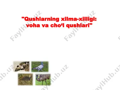 qushlarning xilma-xilligi: voha va cho‘l qushlari — PPT