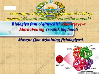qon tizimining fiziologiyasi taqdimoti — PPT