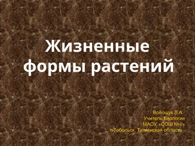 жизненные формы растений — PPT