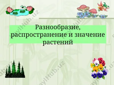 разнообразие, распространение и значение растений — PPT