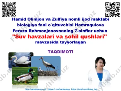 "suv havzalari va sohil qushlari" — PPT