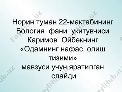 "одамнинг нафас олиш тизими" — PPT