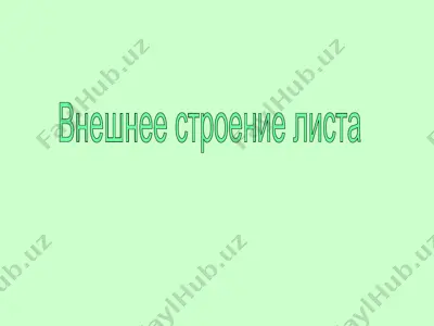 vneshnee stroenie lista — PPT