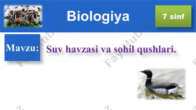 suv havzasi va sohil qushlari — PPT