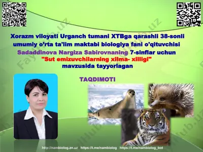 "sut emizuvchilarning xilma- xilligi" — PPT