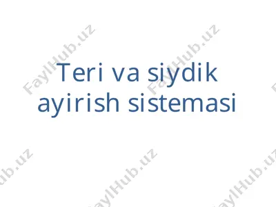 teri va siydik ayirish sistemasi — PPT
