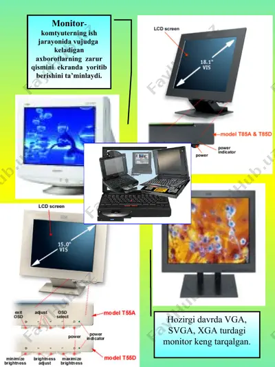 monitor — PPT
