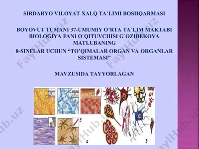 "to'qimalar, organlar va organlar sistemasi" — PPT