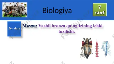 mustahkamlash tushunchalar tahlili — PPT