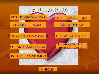 yurak anatomiyasi va tomir kasalliklari — PPT