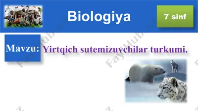 yirtqich sutemizuvchilar turkumi — PPT