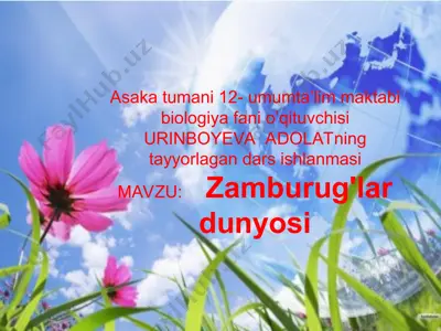 dars ishlanmasi "sut emizuvchilаrning хilmа-хilligi: tuхum qo’yuvchilаr, xaltalilar" — PPT