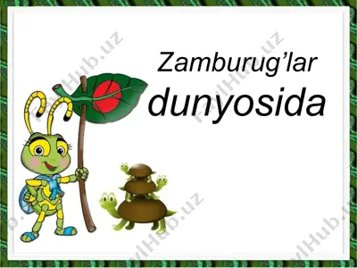 zamburug’lar dunyosida — PPT