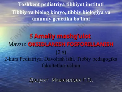 oksidlanish-fosforillanish ma'lumotlar zanjiri — PPT