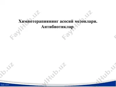 химиотерапиянинг асосий мезонлари — PPT