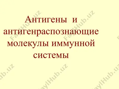 антигены и антигенраспознающие молекулы иммунной системы — PPT