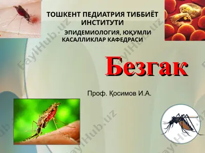безгак — PPT