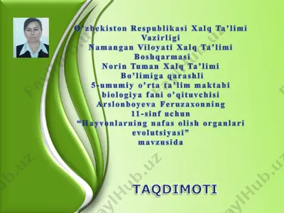 nafas olishning evolyutsiyasi — PPT