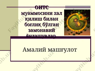 оитс муаммосини хал қилиш билан боғлиқ бўлган замонавий ёндашувлар — PPT