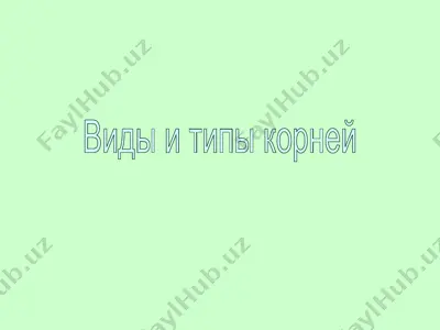 vidlar va turlar — PPT