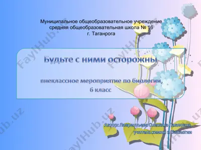 муниципальное общеобразовательное учреждение средняя общеобразовательная школа № 16 г. таганрога — PPT