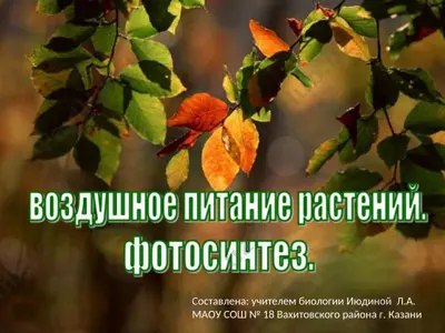 uy ijodiyatida hayotiy tadbirlar organizatsiyasi — PPT