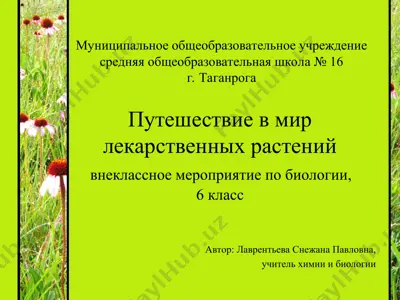 путешествие в мир лекарственных растений — PPT