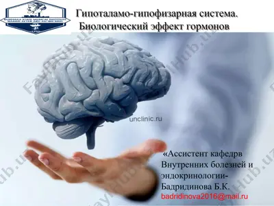 гипоталамо-гипофизарная система. биологический эффект гормонов — PPT