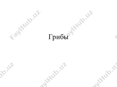 грибы — PPT