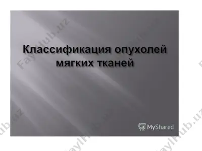 mahsulot nomi topilmadi — PPT