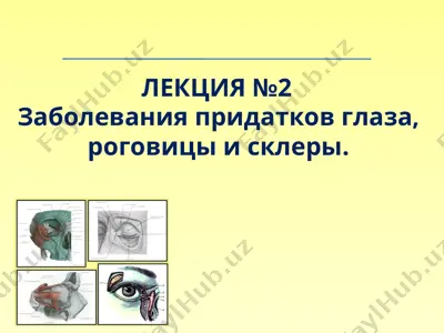 zabolevaniya pridatkov glaza, rogovichy i sklery — PPT