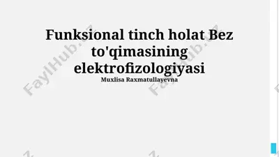 funksional tinch holat bez to'qimasining elektrofizologiyasi — PPTX
