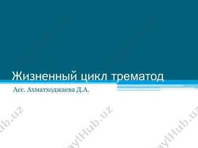 жизненный цикл трематод — PPT