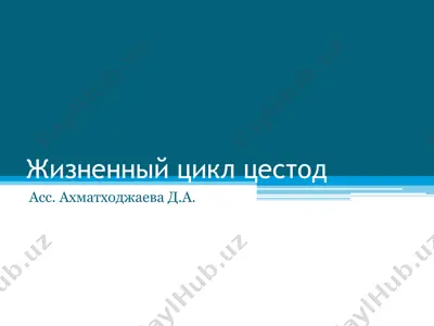 жизненный цикл цестод — PPT