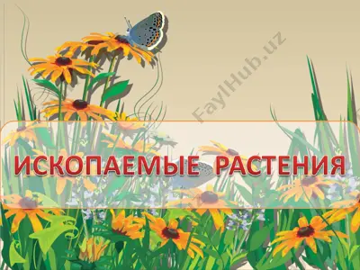остатки растений в ископаемом состоянии — PPT