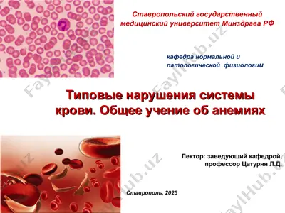 типовые нарушения системы крови. общее учение об анемиях — PPT