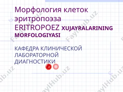 eritropoez xujayralarining morfologiyasi — PPT