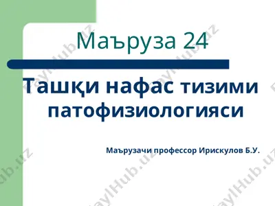 tashqi nafas tizimi patofiziologiyasi — PPT