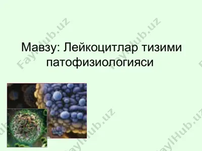 лейкоцитлар тизими патофизиологияси — PPT