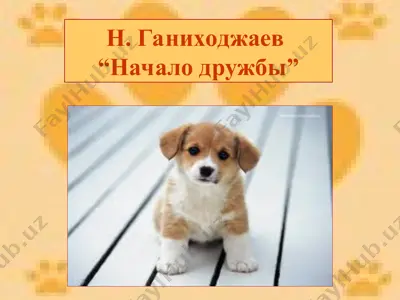 начало дружбы — PPT