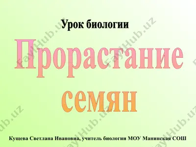 урок биологии — PPT