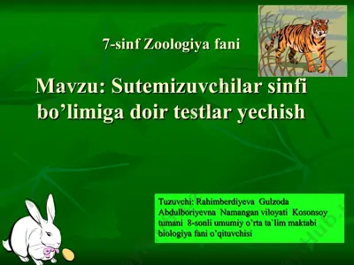 sutemizuvchilar sinfi testlari — PPT