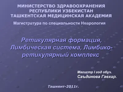 ретикулярная формация, лимбическая система, лимбико-ретикулярный комплекс — PPT