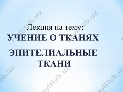 epiteliyal tkanlar darsi — PPT