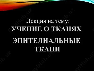 лекция на тему "учение о тканях: эпителиальные ткани" — PPT