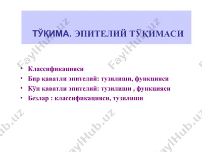 тўқима. эпителий тўқимаси — PPT