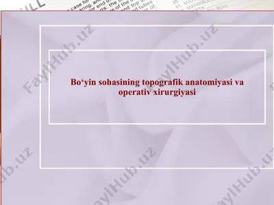 bo‘yin sohasining topografik anatomiyasi va operativ xirurgiyasi — PPTX